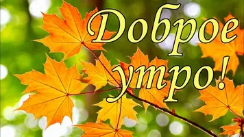 1536x864.webp