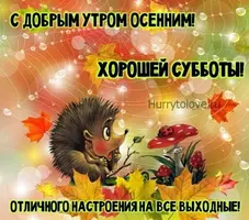 4.webp