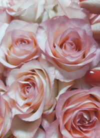 14o0Gallery.webp