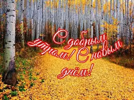 3380f6a4f0.webp