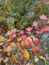 20231015161932.webp