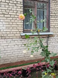 20231015162715.webp