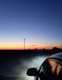 15501Gallery.webp