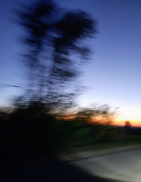 15512Gallery.webp