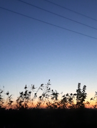 1553Gallery.webp
