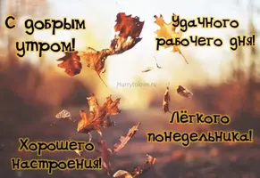 1528.webp