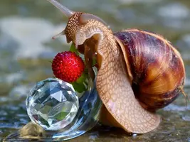 7fd62e311c72e2700faa6297a587d537.webp