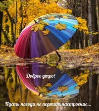 60D79B5A-BCBB-4000-86DB-4FFBC1DCEED5.webp