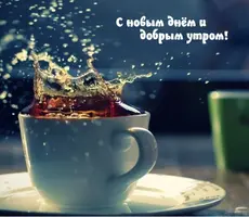 54531756-FDC1-4D1C-9F9C-ED7B524C461C.webp