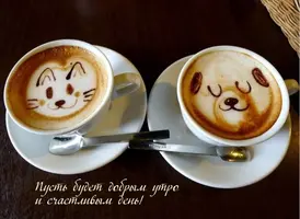 243EA3E1-AC69-4544-AB33-15926A5C0EE6.webp
