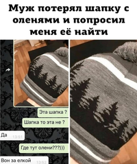 1697560117156074889.webp