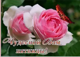 58FC3E17-4BCD-4D94-B0C9-8CA343033CE2.webp