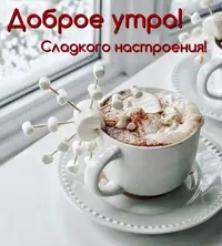 1685591086.webp