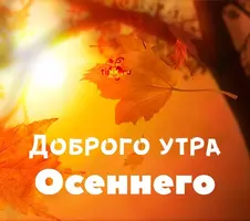 155a1920e.webp