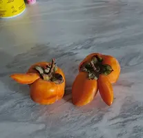 20231022125122.webp
