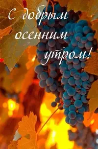 17114643.webp