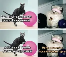 1698060116136550683.webp
