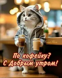 20231015_171037_729.webp
