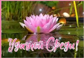 7EC5C095-72F6-4366-889C-62DD90AA0073.webp
