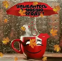 B0CE83C7-A87C-4A68-81B8-ED44E618D282.webp