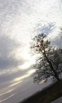 1698514050214-1.webp