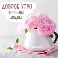 005.webp