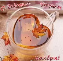 1676631869.webp
