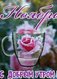978C13D6-823A-4DBF-9BF6-03794E9352B8.webp