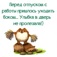 43.webp