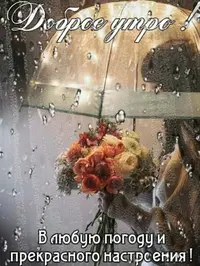 23354EA0-48C8-4512-B994-B46E66C62EE8.webp