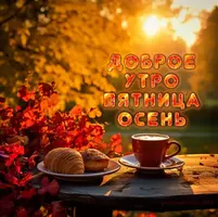 800x799.webp