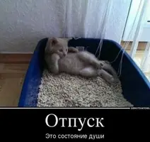 C4C7F932-3D22-4574-80AC-8960AB0E35BF.webp