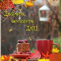 1688208602.webp