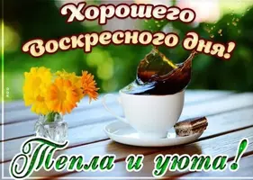 C59599AC-2E70-4548-A4F1-49A07D0ECA83.webp