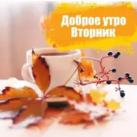 2896678216.webp