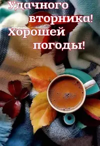 E63C0112-B5ED-48AC-888B-66E156E225A9.webp