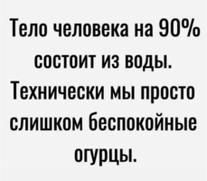 IMG_2580.webp