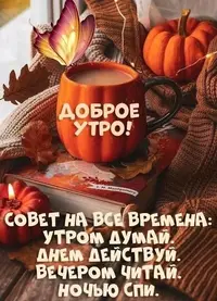 IMG_20231017_171110_915.webp
