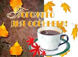 A8F0376D-87FC-4033-9088-A1A0CF7BC89C.webp