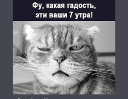 Screenshot_20231109_161744_Gallery.webp