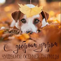 113388.webp