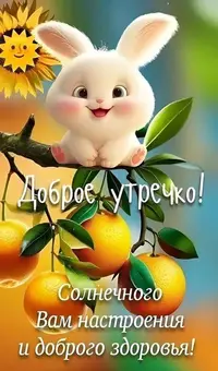 IMG_2956.webp