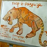 17851140.webp