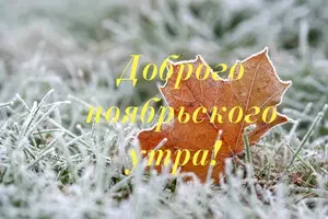 1684719842.webp