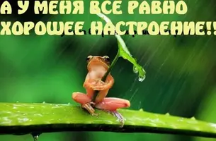 7F5EFC64-6C03-4DF7-9C01-0FBBCF53F15E.webp