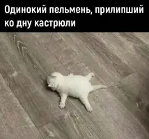 169986538026673703.webp