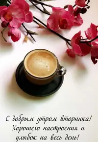 D0BC0D99-CF09-4E6A-A864-E39E0F5EF121.webp