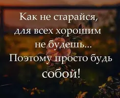 355E4C70-A58B-4AAC-AFEF-D3D341B6EED0.webp