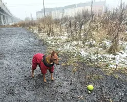 InShot_20231115_160010002.webp