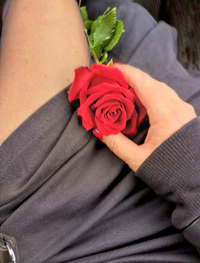 16.webp